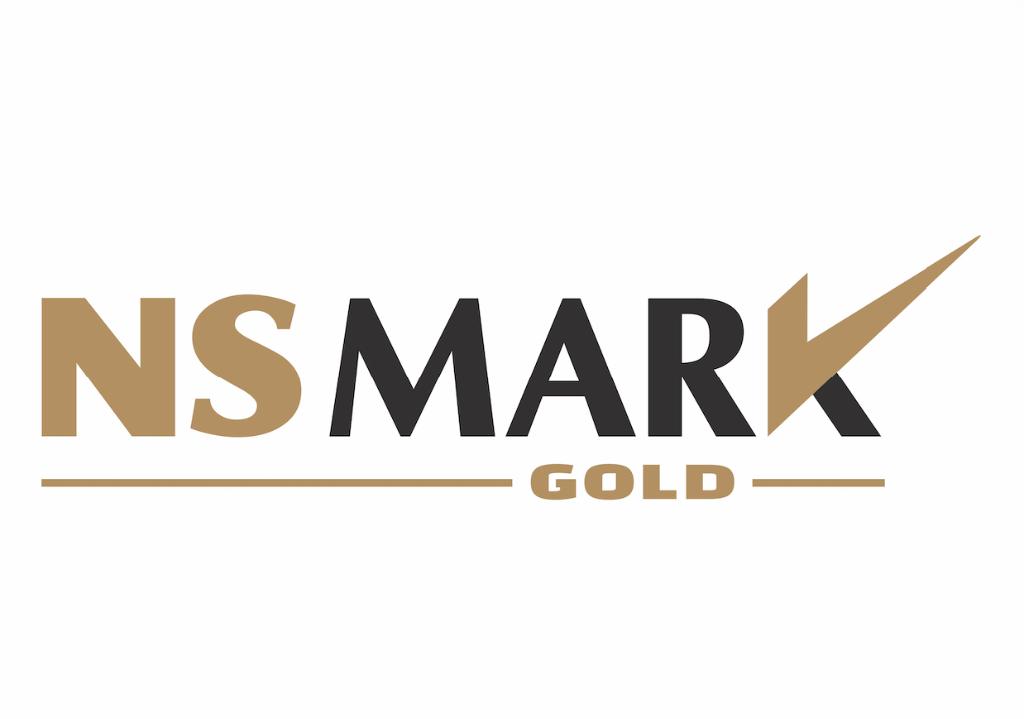 NS Mark Logo