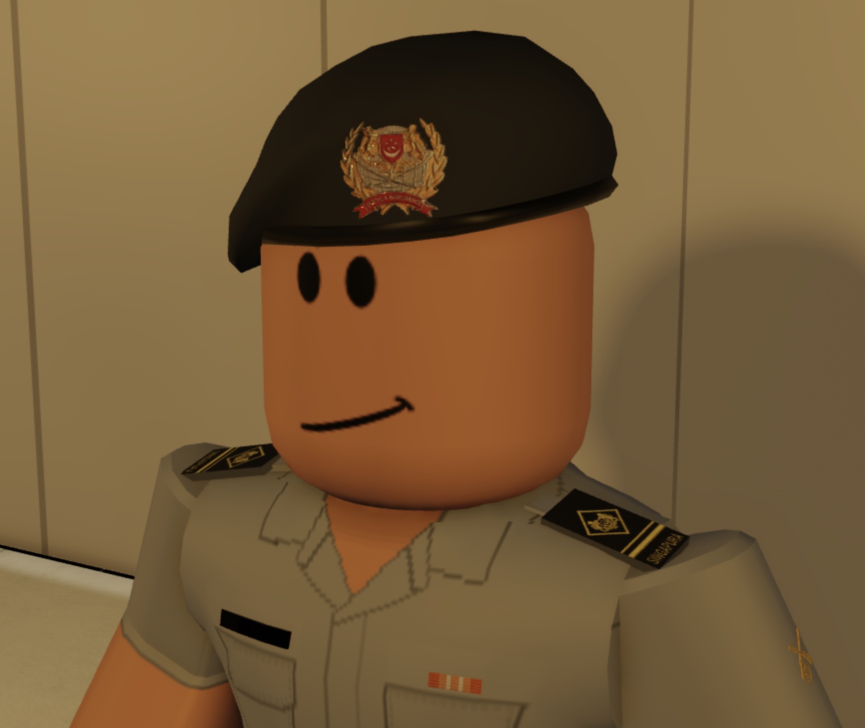 DIS officer character