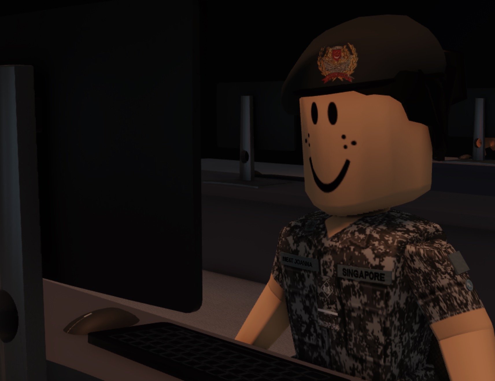 DIS soldier at workstation