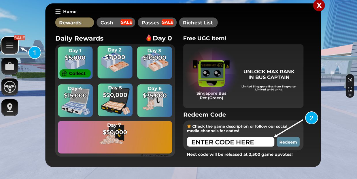 Redeem code screen in Singverse